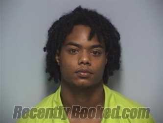 Booking photo from Roanoke County, Virginia