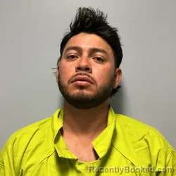 Booking photo from Roanoke County, Virginia