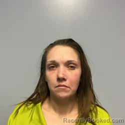 Booking photo from Roanoke County, Virginia