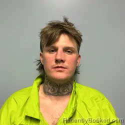 Booking photo from Roanoke County, Virginia
