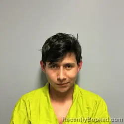 Mugshot of WILMER ALEXIS GOMEZ-GONZALEZ