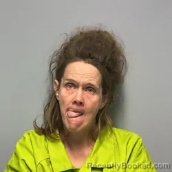 Mugshot of MICHELLE LYNN GORMAN
