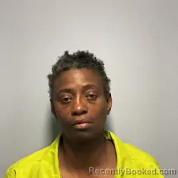 Mugshot of JOHNNIE MARIE MITCHELL
