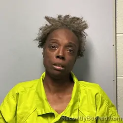 Mugshot of DAWN NICOLE PRICE