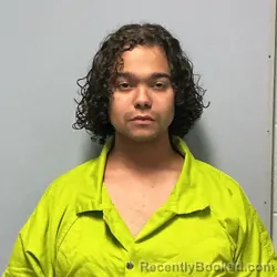 Mugshot of DEVON RAMONE ELLIS