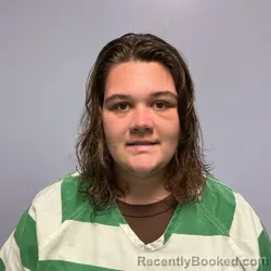 Mugshot of CHEYENNE TAYLOR LAMBERT