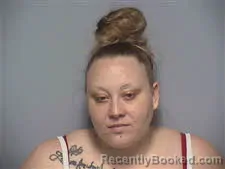 Mugshot of TERRY LYNN MILLS