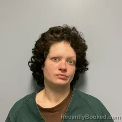 Mugshot of AMANDA MICHELLE CARR