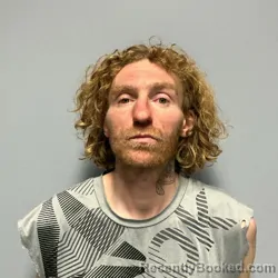 Mugshot of TOREY JOSIAH FERGUSON