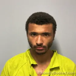 Mugshot of DOMINIC STEVEN PANNELL