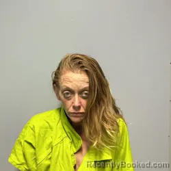 Mugshot of AMANDA KATHERINE DAVIS
