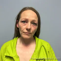 Mugshot of TINA MARIE REYNOLDS