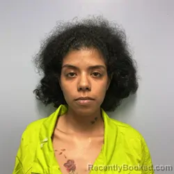 Mugshot of SAI-MENA RAIN AL-SHIBLAWI