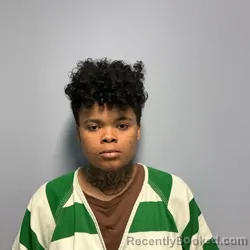 Mugshot of LAYLA LEE SIMPSON