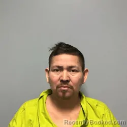 Mugshot of JOSE EFRAIN PINEDA RAMOS