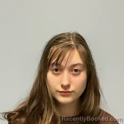 Mugshot of HALLIE MAE AMBER DUNITHAN