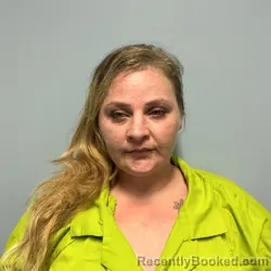 Mugshot of JAMIE LEIGH HAMILTON booked in Roanoke County, Virginia on April 15, 2026