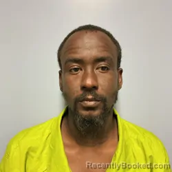 Mugshot of CARLTON STEVEN MCFARLAND booked in Roanoke County, Virginia on April 15, 2026
