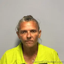 Mugshot of GALE ANN STEPHENS booked in Roanoke County, Virginia on April 17, 2026