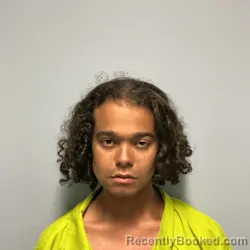 Mugshot of DEVON RAMONE ELLIS booked in Roanoke County, Virginia on April 18, 2026