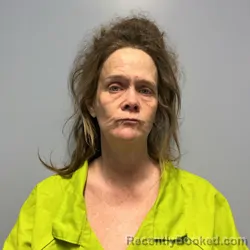 Mugshot of MICHELLE LYNN GORMAN booked in Roanoke County, Virginia on April 19, 2026