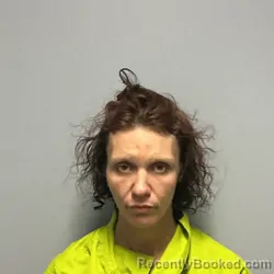 Mugshot of MEAGAN ROSE DOW booked in Roanoke County, Virginia on April 20, 2026