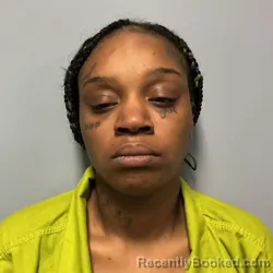 Mugshot of DESIREE JANEAN TURNER booked in Roanoke County, Virginia on April 23, 2026