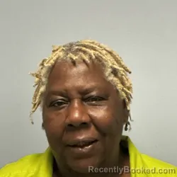 Mugshot of ETHEL MACK DIVERS booked in Roanoke County, Virginia on April 25, 2026