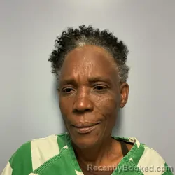Mugshot of VAOLA PHILIPPE booked in Roanoke County, Virginia on April 29, 2026