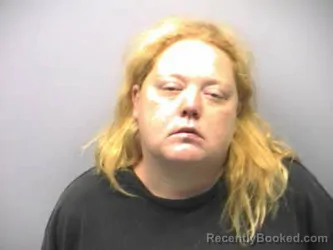 Mugshot of APRIL DAWN LEE booked in Roanoke County, Virginia on April 29, 2026