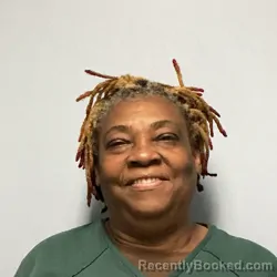 Mugshot of LINDA GAIL MEASE booked in Roanoke County, Virginia on May 2, 2026