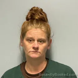 Mugshot of ELIZABETH ANN CHASTAIN booked in Roanoke County, Virginia on May 2, 2026