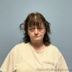 Mugshot of MELISSA SUE DENNIS booked in Roanoke County, Virginia on May 2, 2026