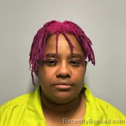 Mugshot of MIESHA SHANAE JOHNSON booked in Roanoke County, Virginia on May 5, 2026