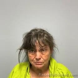 Mugshot of JENNIFER LEIGH TIERNEY booked in Roanoke County, Virginia on May 17, 2026