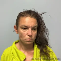 Booking photo from Roanoke County, Virginia