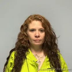 Booking photo from Roanoke County, Virginia