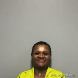 Mugshot of DANIELLE DENISE LINDO booked in Roanoke County, Virginia on June 1, 2026