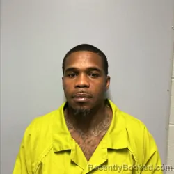 Mugshot of RONNIE HERBERT PANNELL booked in Roanoke County, Virginia on June 8, 2026