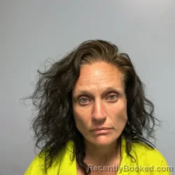 Mugshot of NICOLE MICHELLE FINK booked in Roanoke County, Virginia on June 11, 2026