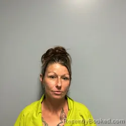 Mugshot of VANESSA BRIANNE PARKS booked in Roanoke County, Virginia on June 16, 2026