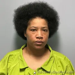 Mugshot of VALERIE RENA ROSS booked in Roanoke County, Virginia on June 22, 2026