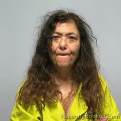 Mugshot of LISA ANN ODONNELL booked in Roanoke County, Virginia on June 23, 2026