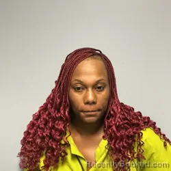 Mugshot of ALISHA LORRAINE DAY booked in Roanoke County, Virginia on June 24, 2026