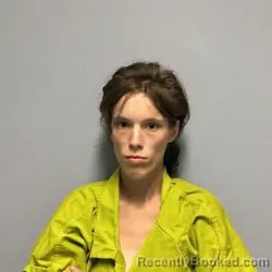 Mugshot of JOHANNA DANIELLE HAIGLER booked in Roanoke County, Virginia on June 24, 2026