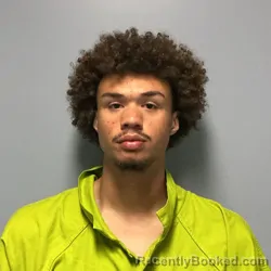 Mugshot of TYLER COLE WILLIAMS booked in Roanoke County, Virginia on June 26, 2026