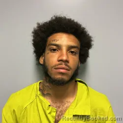 Mugshot of TIAHJAE SILAS PAIGE booked in Roanoke County, Virginia on June 28, 2026