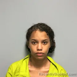Mugshot of LANYAH CHRISTINA YOUNG booked in Roanoke County, Virginia on June 29, 2026