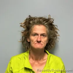 Mugshot of Melissa Sue Wray booked in Roanoke County, Virginia on July 13, 2026