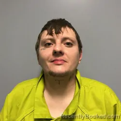 Mugshot of Michael Tyler Breedlove booked in Roanoke County, Virginia on July 17, 2026